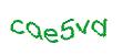 Captcha-Abbildung
